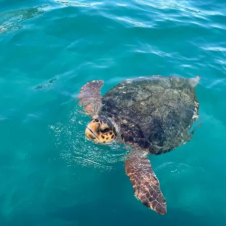 Osservatorio House 펜션 라가나스