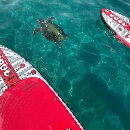 Osservatorio House *